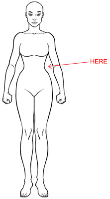 waist2.jpg